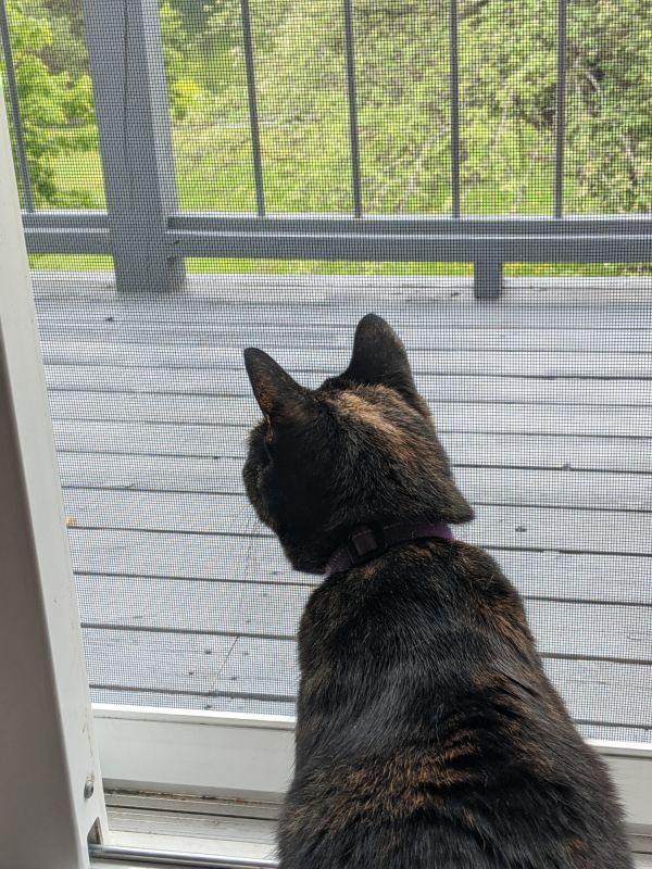 Cat Door Installation detail